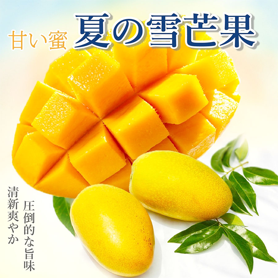 外銷級夏雪芒果 - 千櫻頂級水果禮盒專門店