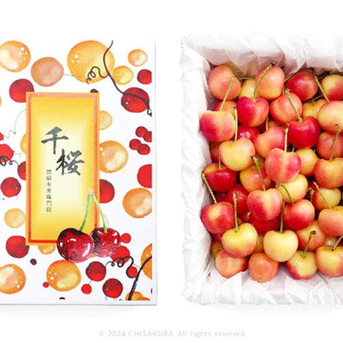 加州瑞尼爾白櫻桃-07