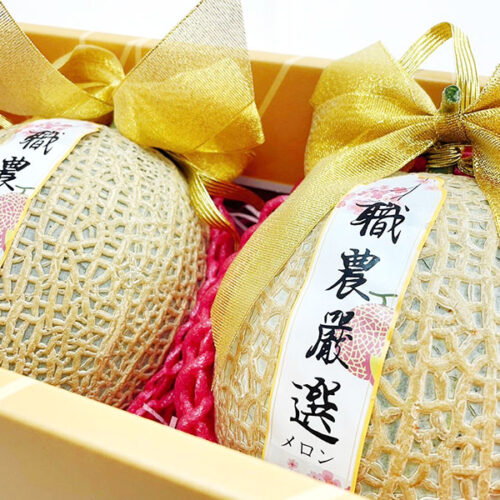 溫室阿露絲哈密瓜-03