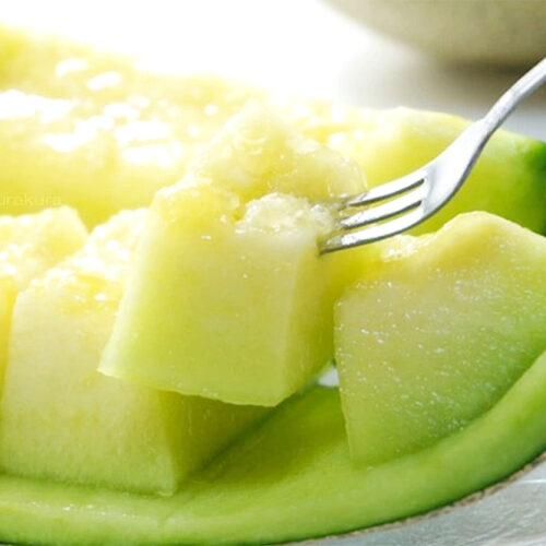 溫室阿露絲哈密瓜-04