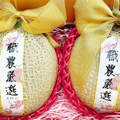 溫室阿露絲哈密瓜-05