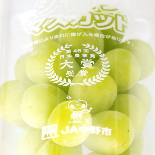 長野麝香葡萄-07